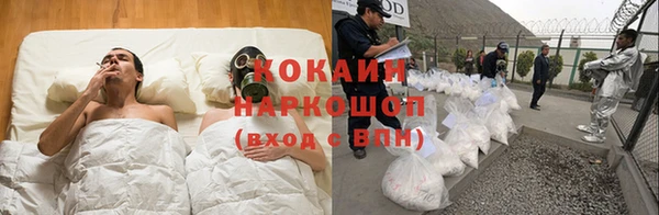 дурь Алзамай