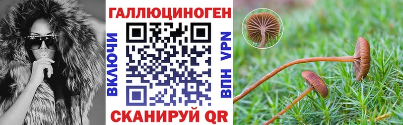 купить наркотики цена  Протвино  Псилоцибиновые грибы Psilocybe 