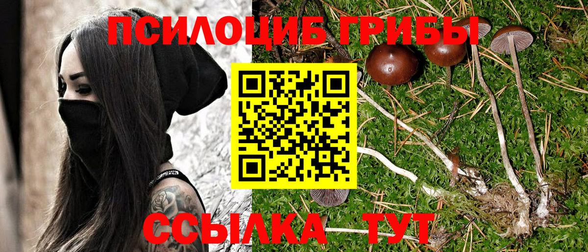 Галлюциногенные грибы MAGIC MUSHROOMS Протвино