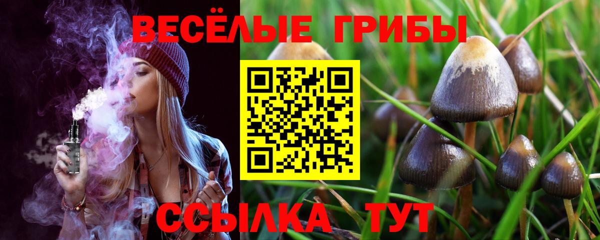 купить наркоту  Галлюциногенные грибы ЛСД  Протвино  Вход с VPN  Галлюциногенные грибы Magic Shrooms 
